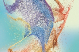 How Seawater’s Teeming Life May Change Our Own