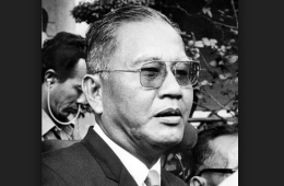 Tản mạn về nhân vật lịch sử Dương Văn Minh