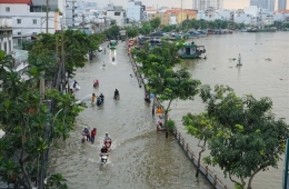 TP.HCM: Áp Dụng Mô Hình Thành Phố Bọt Biển