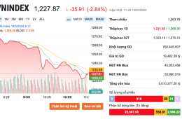 Đi tìm nguyên nhân khiến VN-Index bị thổi bay 38 điểm, 461 mã trên HoSe 'đỏ lửa'