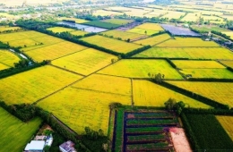 Nếu Trái đất nóng hơn 2,5 độ so với thời tiền công nghiệp, ĐBSCL sẽ gặp nguy cơ