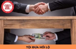 MỘT TRONG NHỮNG TỘI ĐỒ CỦA NỀN KINH TẾ VIỆT NAM. CHỦ NGHĨA TƯ BẢN THÂN HỮU