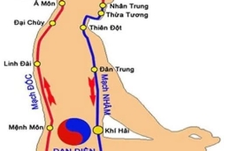Thử luận cách chữa huyết áp CAO và THẤP: