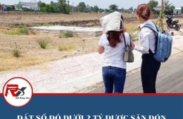 Thị trường đất nền vùng ven TP.HCM đầu năm 2025: Cơ hội và rủi ro
