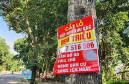 Nhiều nhà đầu tư cá nhân đang sa đà vào tìm đất cắt lỗ sâu