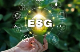 Tín dụng xanh, rủi ro ESG Việt Nam
