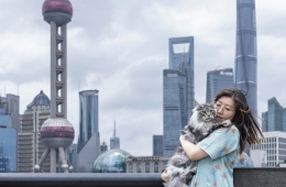 China’s Pet Parents Choose ‘Fur Kids’ Over Human Children