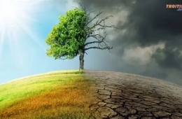 Biến đổi khí hậu: Thực trạng, thách thức, giải pháp 2026