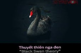 Nét phác “  Thiên Nga đen “cho 25 năm đầu  thế kỷ 21 - 20/2/2024