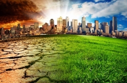 What Earth in 2050 could look like - Shannon Odell
