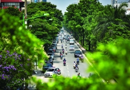 Cây xanh là hạ tầng đô thị